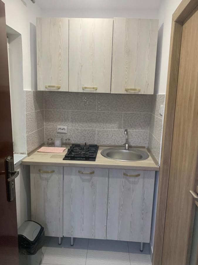 Casa Anastasia-Constanta Delfinariu Eksteriør bilde